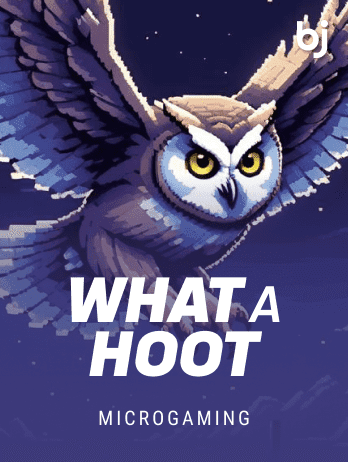 What A Hootpng screenshot